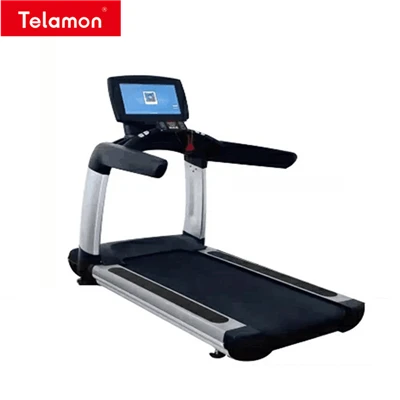 Treadmill Gym Profesional